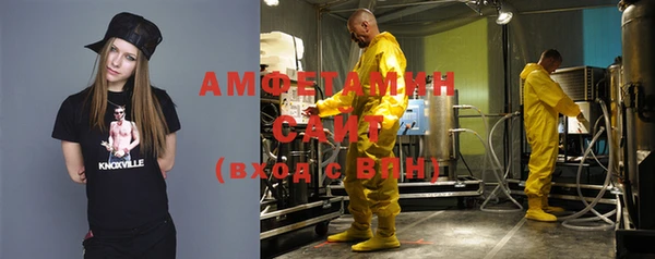 индика Корсаков
