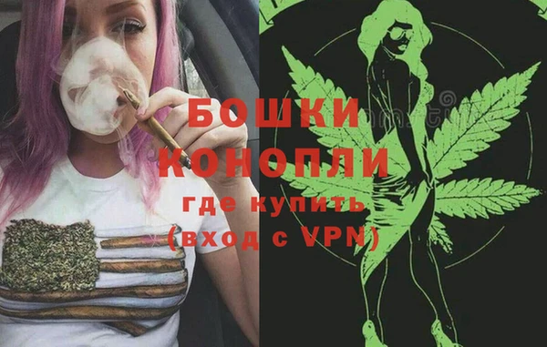 индика Корсаков