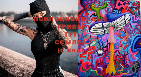 ГАЛЛЮЦИНОГЕННЫЕ ГРИБЫ Костерёво
