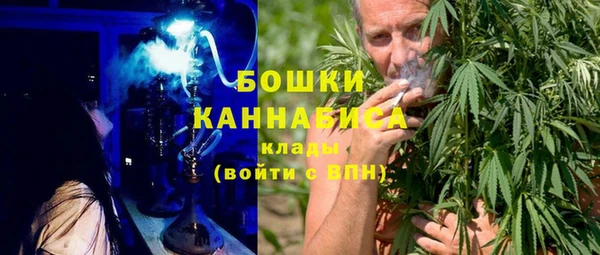 индика Корсаков