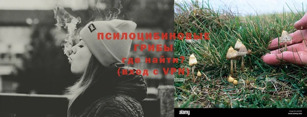 индика Корсаков