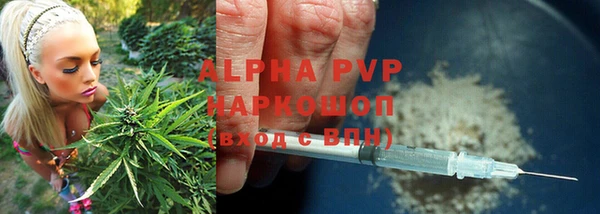 индика Корсаков