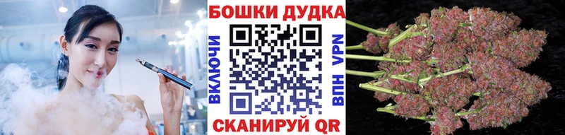Бошки Шишки гибрид  Купить  Бугуруслан 